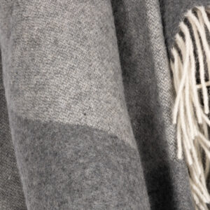 Alternative view of Meriino Pleed Hall - mustriga