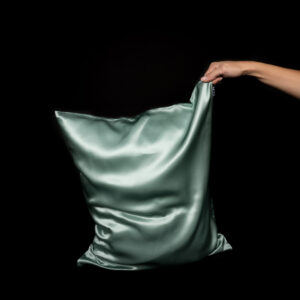 Siidist Padjapüür Salveiroheline