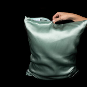 Alternative view of Siidist Padjapüür Salveiroheline