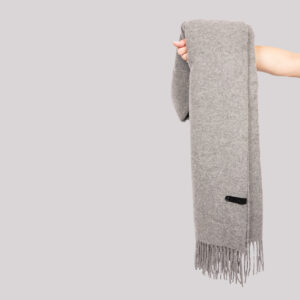 Alternative view of Meriino Pleed Hall